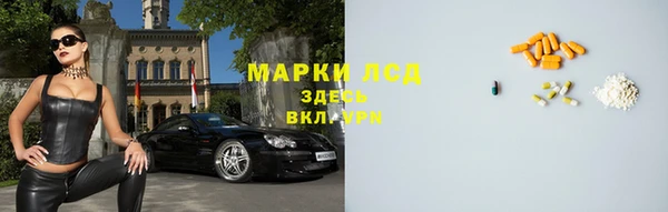 гидра Бердск