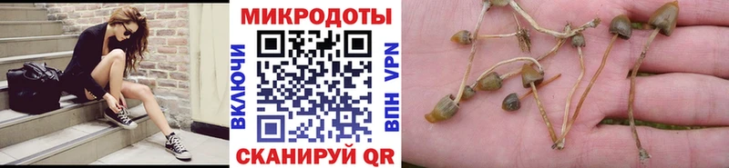 купить закладку  Нальчик  KRAKEN рабочий сайт  Галлюциногенные грибы мухоморы 